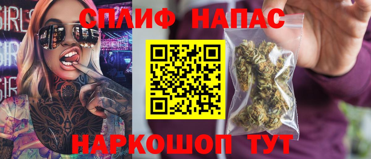 Канабис семена Новозыбков