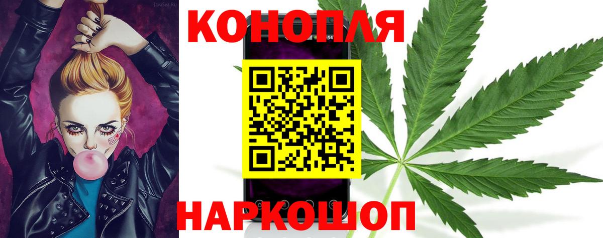 Бошки марихуана MAZAR  Бошки Шишки MAZAR  Вход с VPN  Шишки марихуана ГИДРОПОН  Новозыбков 